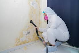 Mold Remediation for Vacation Homes in Ava, MO